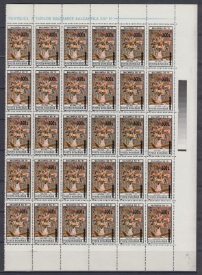 ROMANIA 2001 LP1568 BALCANFILA 91 SUPRATIPAR COLOANA BLOC DE 30 TIMBRE MNH foto