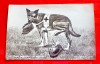 G472-I-WW1-Carte postala-CAINE SANITAR PATRIOT Franta primul razboi mondial caricatura stare buna, spate putin uzat, marimi: 14/9 cm.