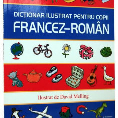 Dicționar ilustrat pentru copii francez-român - Paperback brosat - David Melling - Elektra