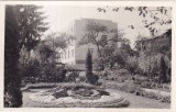 Gradina Botanica. Cluj (necirculata)