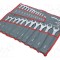 Set chei combinate PROLINE oţel crom-vanadium 24 bucăţi