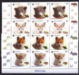 DB Romania 2012 Pui de animale salbatice serii straif superior MNH, Nestampilat