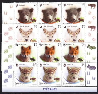 DB Romania 2012 Pui de animale salbatice serii straif superior MNH foto