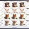 DB Romania 2012 Pui de animale salbatice serii straif superior MNH