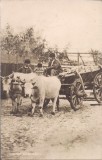 Carte postala circulata in 24 ianuarie 1917