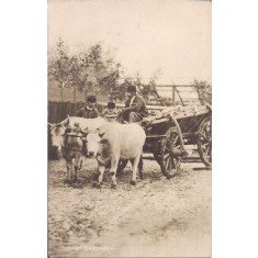 Carte postala circulata in 24 ianuarie 1917