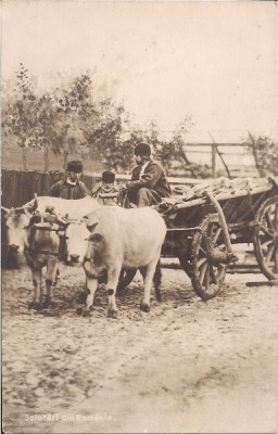 Carte postala circulata in 24 ianuarie 1917 foto