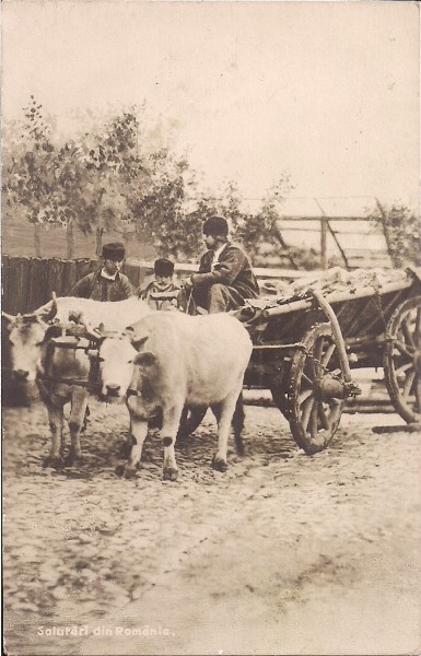 Carte postala circulata in 24 ianuarie 1917