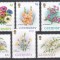 Guernsey 1992 - Flori, 2 Serii, MNH