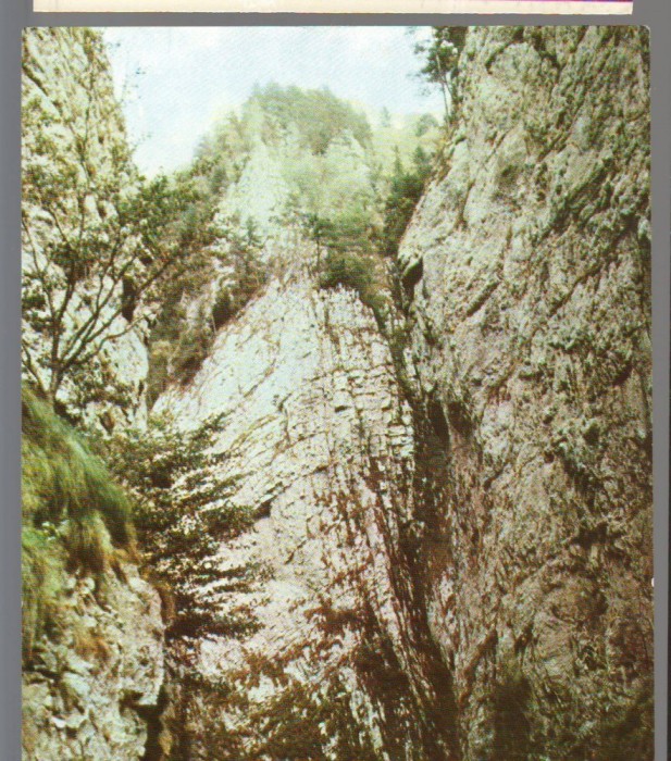 CPI B 12278 CHEILE DAMBOVICIOAREI DINCOMPLEXUL CARSTIC DAMBOVICIOARA