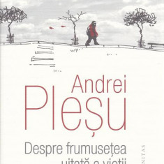 Despre frumuseţea uitată a vieţii - Hardcover - Andrei Pleșu - Humanitas