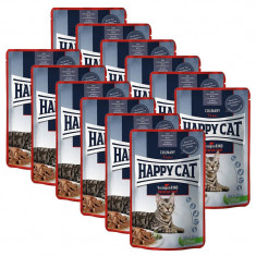 Happy Cat CARNE DE CARNE ÎN SAUCE Culinar Voralpen-Rind / Carne de vită, 12 x 85 g