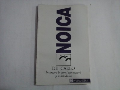 DE CAELO - CONSTANTIN NOICA foto