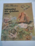 Cumpara ieftin INTAMPLARI DIN GRADINA MEA - Ana Blandiana
