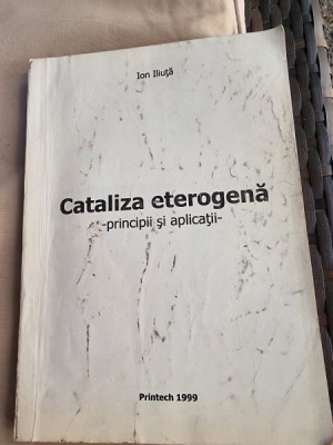 Ion Iliuta - Cataliza Eterogena. Principii si aplicatii foto