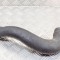 Furtun intercooler st&acirc;nga PORSCHE CAYENNE 92A 2015 OEM: 7L5145833D,7L5.145.833.D | 11506420
