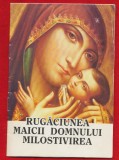 &quot;Rugaciunea Maicii Domnului Milostivirea&quot;