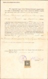 305S Brevet soră medicală pediatrie, 1909, Oradea