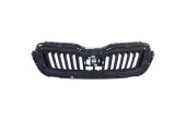 Grila radiator Skoda Scala, 04.2019-, montare fata, negru/negru, RapidAuto