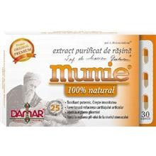 Extract Purificat de Rasina Mumie Damar 60cps Cod: 17830 foto