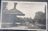 Carte postala, Craiova, Ciuperca din Parcul Romanescu, 1943