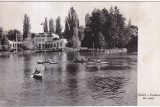 Cluj. Vedere din parc (necirculata)