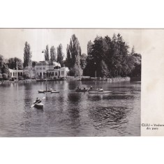 Cluj. Vedere din parc (necirculata)