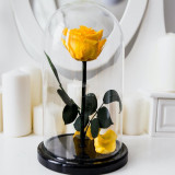 Cumpara ieftin Trandafir Criogenat galben xl &Oslash;6,5cm in cupola 12x25cm