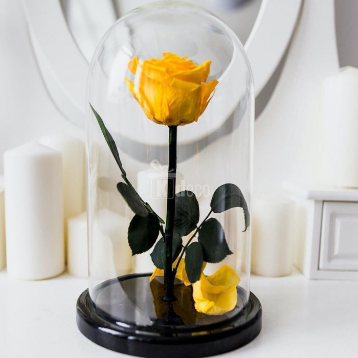 Trandafir Criogenat galben xl &Oslash;6,5cm in cupola 12x25cm