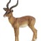 Papo figurina impala