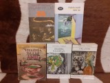 DOAMNA DALLOWAY/ORLANDO/SPRE FAR/INTRE ACTE/ANII-VIRGINIA WOOLF (5 VOL)