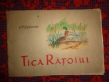 Tica Ratoiul / o poveste cu rate salbatice - F.P.Zglinicki / 24 pagini , ilustratii