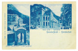 399 - Baile HERCULANE, Litho, Romania - old postcard - unused, Necirculata, Printata
