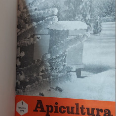 REVISTA APICULTURA IN ROMANIA ANUL 1973 , LOT 12 REVISTE AN COMPLET .