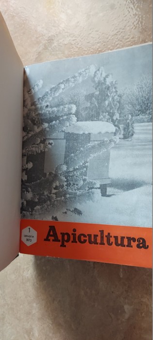 REVISTA APICULTURA IN ROMANIA ANUL 1973 , LOT 12 REVISTE AN COMPLET .