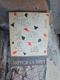 Arpeghii la Siret - Paul Anghel