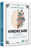 Vindecare. Intrebarile din taramul interzis - Laura Maria Andresan