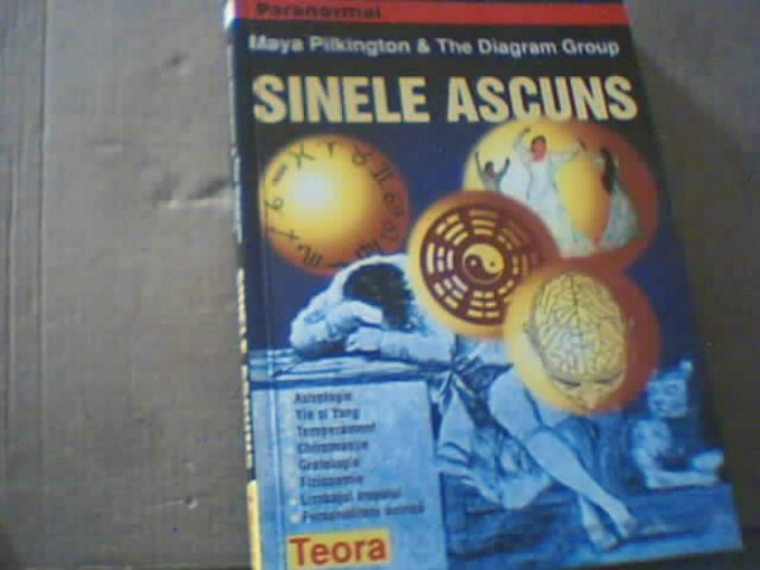 Maya Pilkington @ The dIagram Gruup - SINELE ASCUNS ( Teora, 2002 )