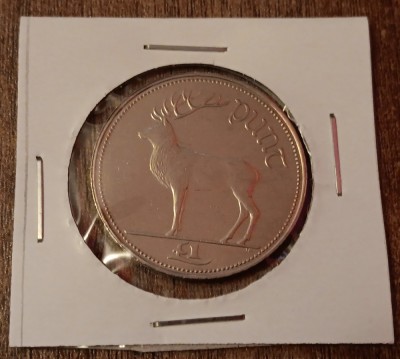 C50 - Moneda foarte veche - Irlanda - 1 lira - punt - 1998 foto