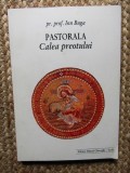 PASTORALA, CALEA PREOTULUI - ION BUGA