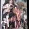 THE METROPOLITAN MUSEUM OF ART, GUIDE (TEXT IN LIMBA ENGLEZA)