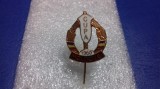 insigna Cupa Moldovei 1960