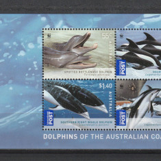 Fauna marina de coasta ,delfini ,Australia.