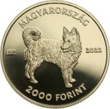 Ungaria 2000 Forint 2022 Cainele Mudi BU, Europa