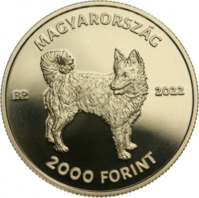 Ungaria 2000 Forint 2022 Cainele Mudi BU foto