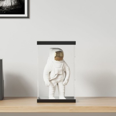 Gossi cutie de prezentare, transparent, 22x18x35 cm, acril foto