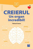 Mic ghid de sănătate: Creierul. Un organ incredibil! - Paperback brosat - Thibaud Dumas - Niculescu