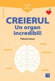 Mic ghid de sănătate: Creierul. Un organ incredibil! - Paperback brosat - Thibaud Dumas - Niculescu