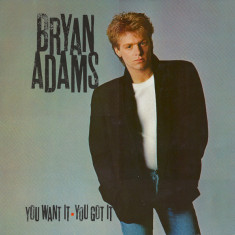 Vinil Bryan Adams ‎– You Want It, You Got It (-VG)