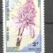 Congo 1971 Flowers, used AE.219